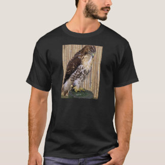 Wild Birds: Red-Tailed Hawk T-Shirt