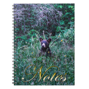 Wild Black Bear Cub Wildlife Photo Spiral Notebook