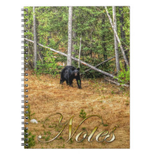 Wild Black Bear & Yukon Forest Photo Art Spiral Notebook