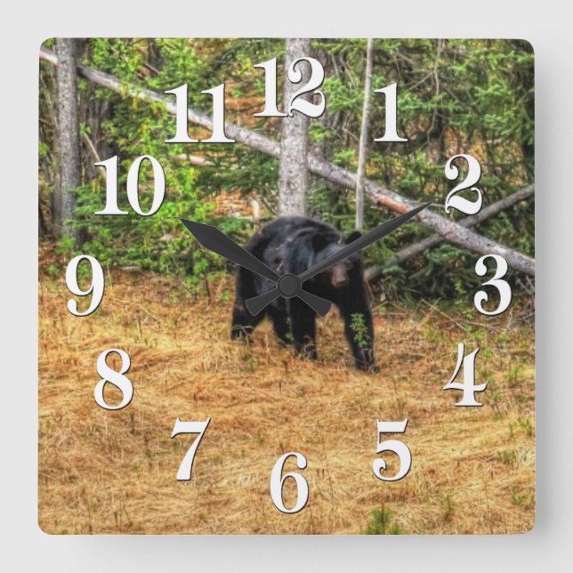 Wild Black Bear & Yukon Forest Photo Art Square Wall Clock (Front)