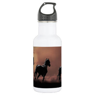 Wild black beauty horses 532 ml water bottle
