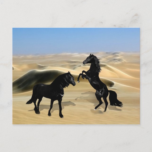 Wild black beauty horses postcard (Front)