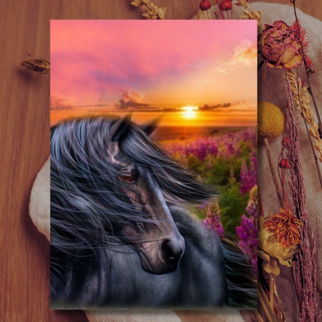 Wild Black Stallion Mustang Horse Fantasy Card (Creator Uploaded)