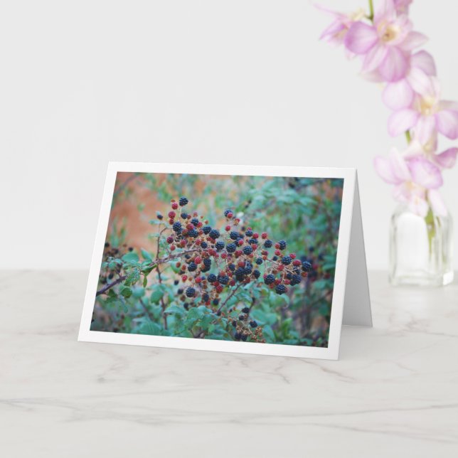 Wild Blackberry Fruit Card (Orchid)