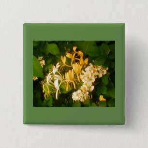 Wild Blooming Rose Honeysuckle Button