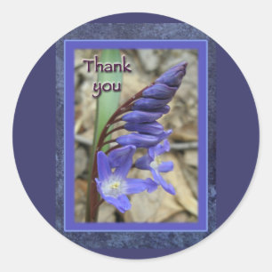 Wild Blue Hyacinth Thank You Classic Round Sticker