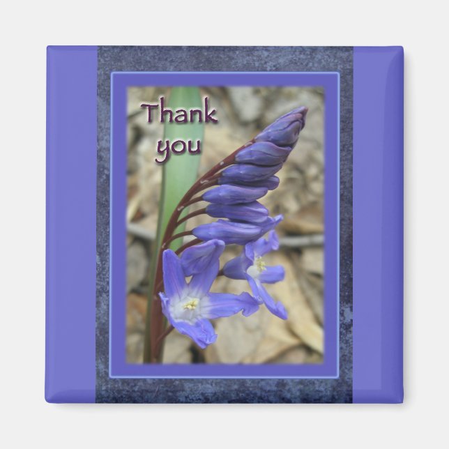 Wild Blue Hyacinth Thank You Magnet (Front)