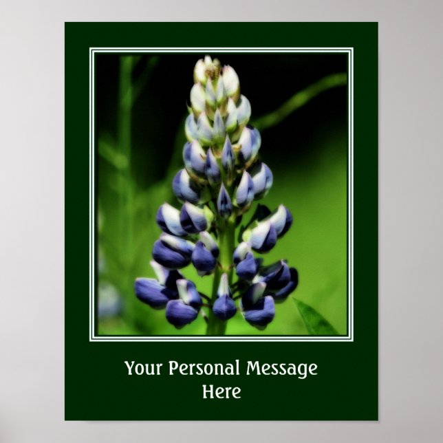 Wild Blue Lupine Flower Create Your Own Text Poster (Front)