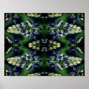 Wild Blue Lupine Flowers Nature Abstract  Poster