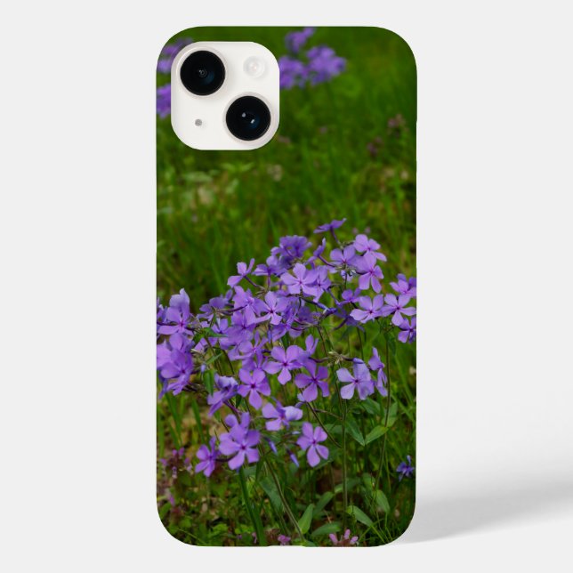 Wild Blue Phlox iPhone Case (Back)