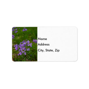 Wild Blue Phlox Label