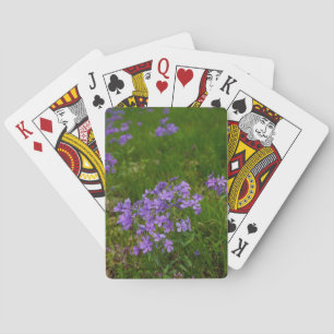 Wild Blue Phlox Playing Cards