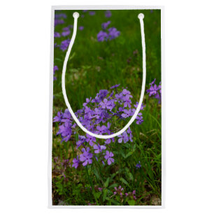 Wild Blue Phlox Small Gift Bag