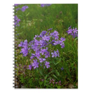 Wild Blue Phlox Spiral Notebook