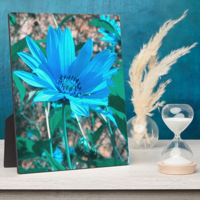 Wild Blue Sunflower photo plaque (Side)