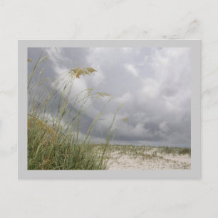 WIld Blue Yonder Postcard