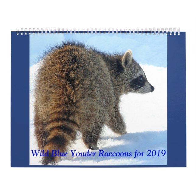 Wild Blue Yonder Raccoons of 2019 Calendar (Cover)