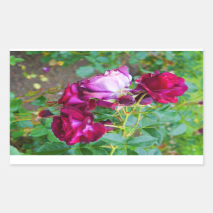 Wild Blue Yonder Rose #1-2 Stickers