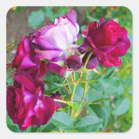 Wild Blue Yonder Rose #1 Stickers
