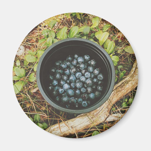 Wild Blueberry Picking  Magnet (Front)