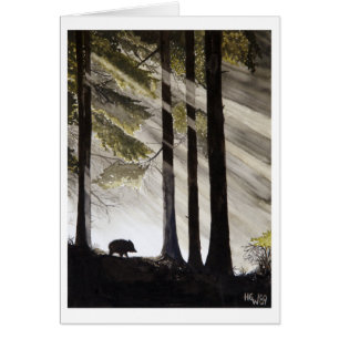 Wild Boar