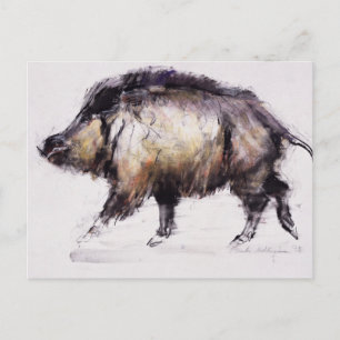 Wild Boar 1999 Postcard