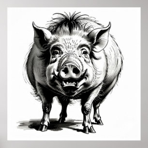 Wild Boar - Archival Print