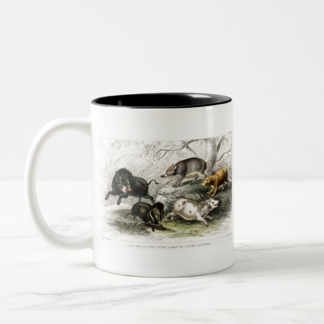Wild Boar, Collared Peccary, Chinese Sow, Capibara Two-Tone Coffee Mug (Left)