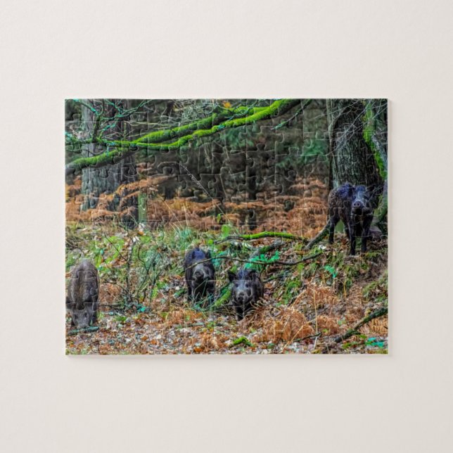 Wild Boar Jigsaw Puzzle (Horizontal)