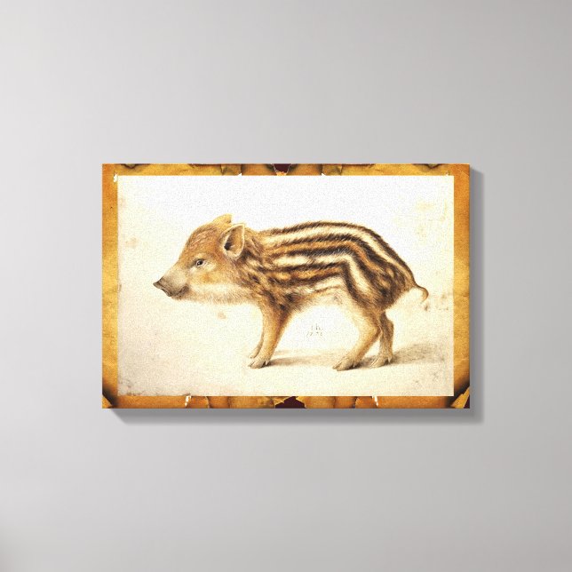 WILD BOAR PIGLET Animal Drawing Canvas Print (Front)