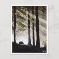 Wild Boar