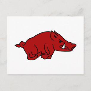 Wild Boar Postcard