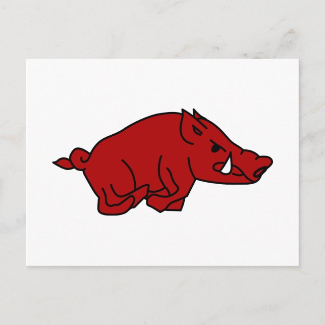 Wild Boar Postcard (Front)