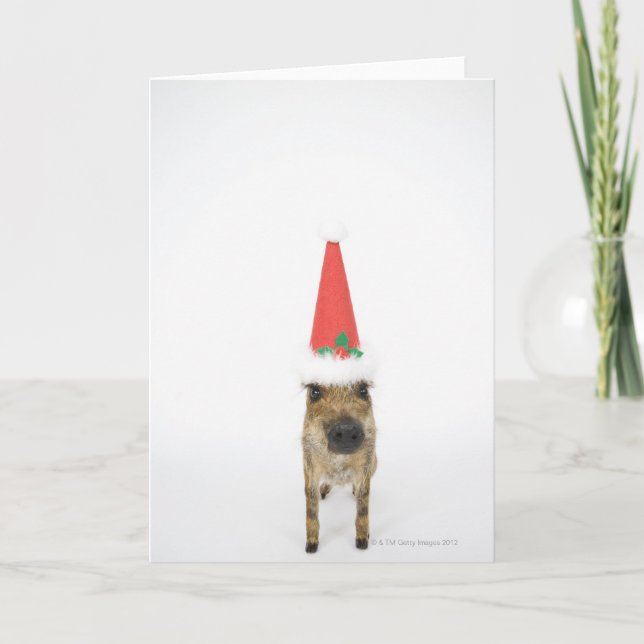 Wild boar with Christmas hat Holiday Card (Front)