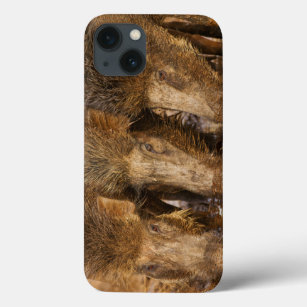 Wild Boars drinking water in the waterhole iPhone 13 Case