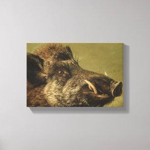 Wild Boar's Head (Ugly Pig) Canvas Print