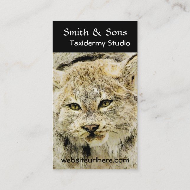 Wild Bobcat Taxidermy Photographic Art Business Card (Front)