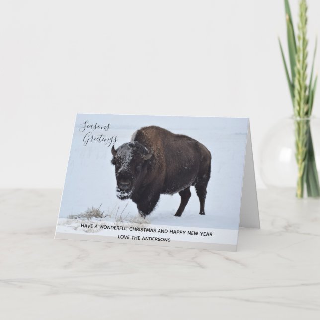 Wild Buffalo Bison Christmas Winter Snow Custom Holiday Card (Front)