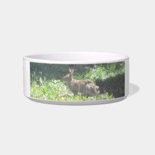 Wild Bunny Pet Bowl