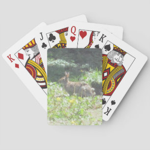 Wild Bunny Playing Cards