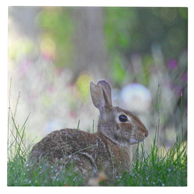 Wild Bunny Rabbit in The Grass Tile (Front)