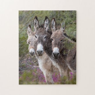 Wild Burro Family Jigsaw Puzzle