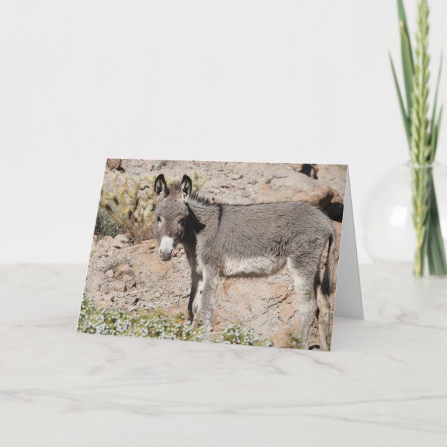 Wild Burro Greeting Card (Front)