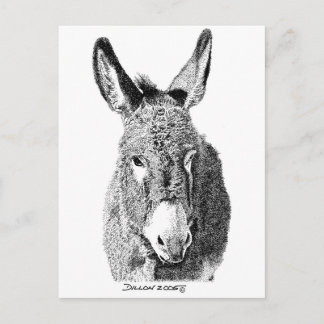 Wild Burro Postcard