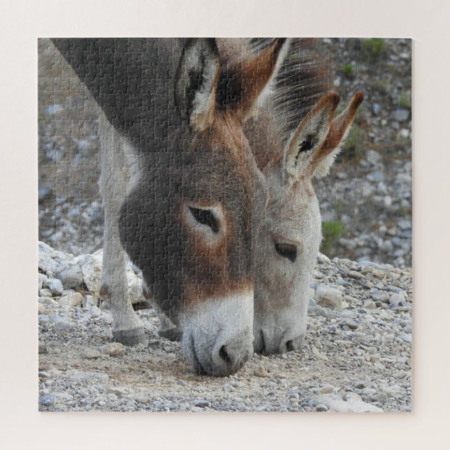 Wild burros, donkeys, wildlife, puzzle (Vertical)