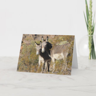 Wild Burros Greeting Card