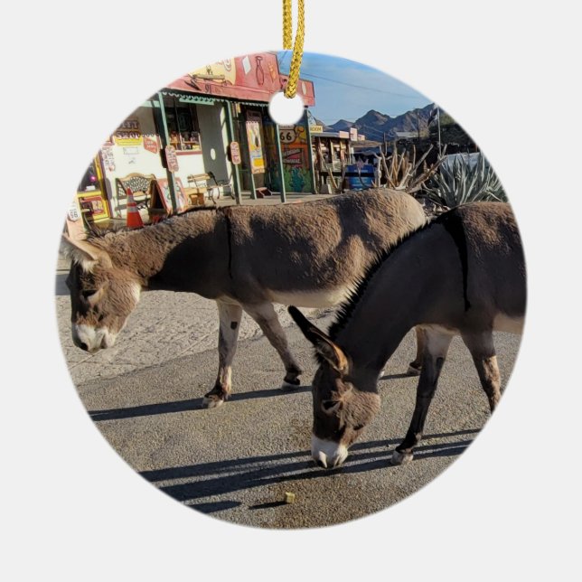 Wild Burros in Oatman, Arizona Ceramic Tree Decoration (Front)