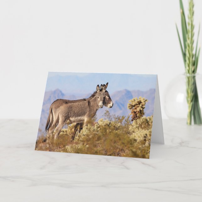 Wild Burros of Arizona Card (Front)