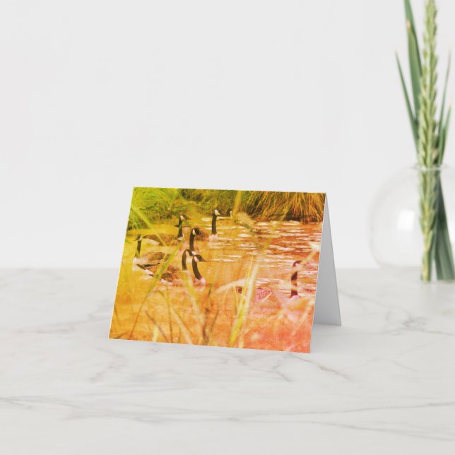Wild Canada Geese Nature Blank Note Card (Front)