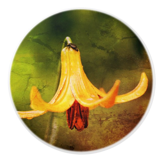 Wild Canada Lily With Insect Abstract  Ceramic Knob (Front)